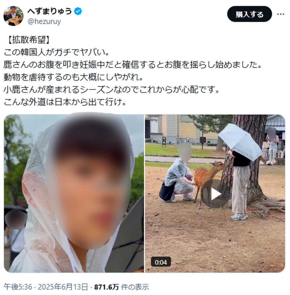 へずまりゅう 外国人問題 韓国人 出典：Xより