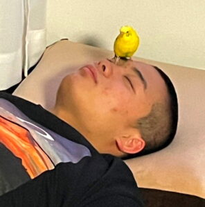 長尾一大心 出典：Xより