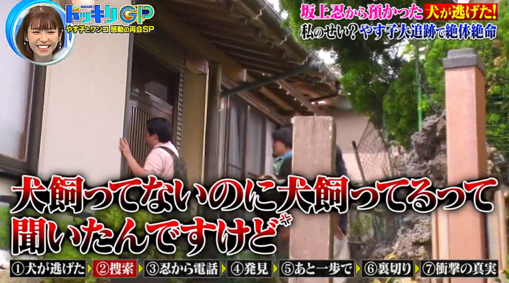 やす子 犬 出典：フジテレビ ドッキリGPより